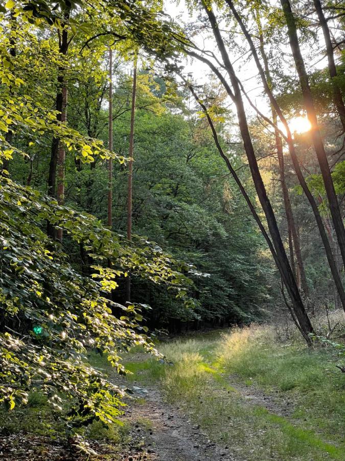 Ferienwohnung Unter Den Linden Halbe Dış mekan fotoğraf